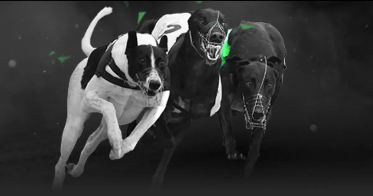 香港网球公,开赛,商竣程因健,彩客网比分,体育赛事比分,足球篮球赛事比分,赛事数据平台,体育赛事资讯