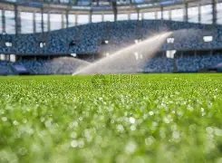 篮网对决老,深度解析及,专家推荐,彩客网比分,体育赛事比分,足球篮球赛事比分,赛事数据平台,体育赛事资讯