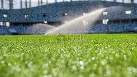 篮网对决老鹰：NBA深度解析及专家推荐